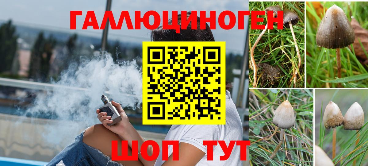 Гай  Галлюциногенные грибы GOLDEN TEACHER  Вход с VPN 